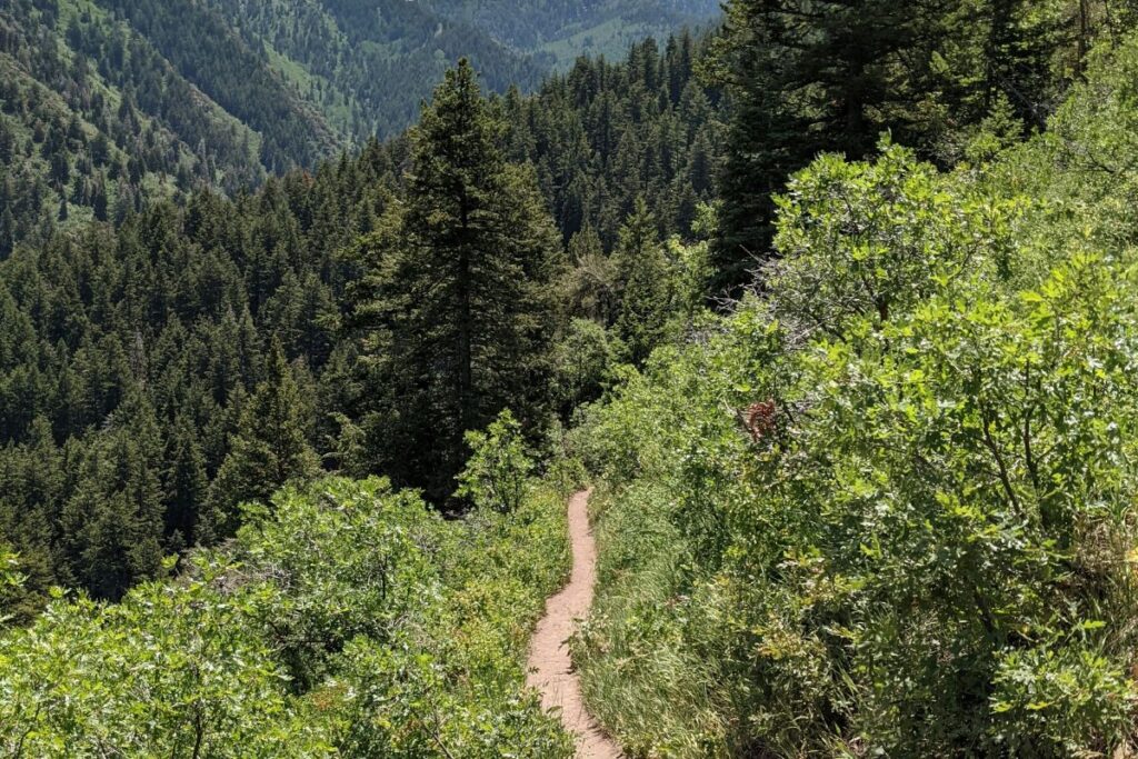 Neahkahnie Mountain Trail Oregon
